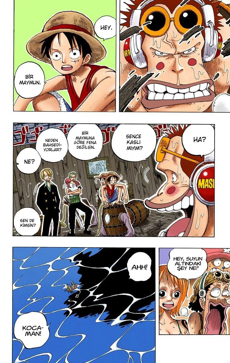 One Piece - Bölüm 220 - Sayfa 18