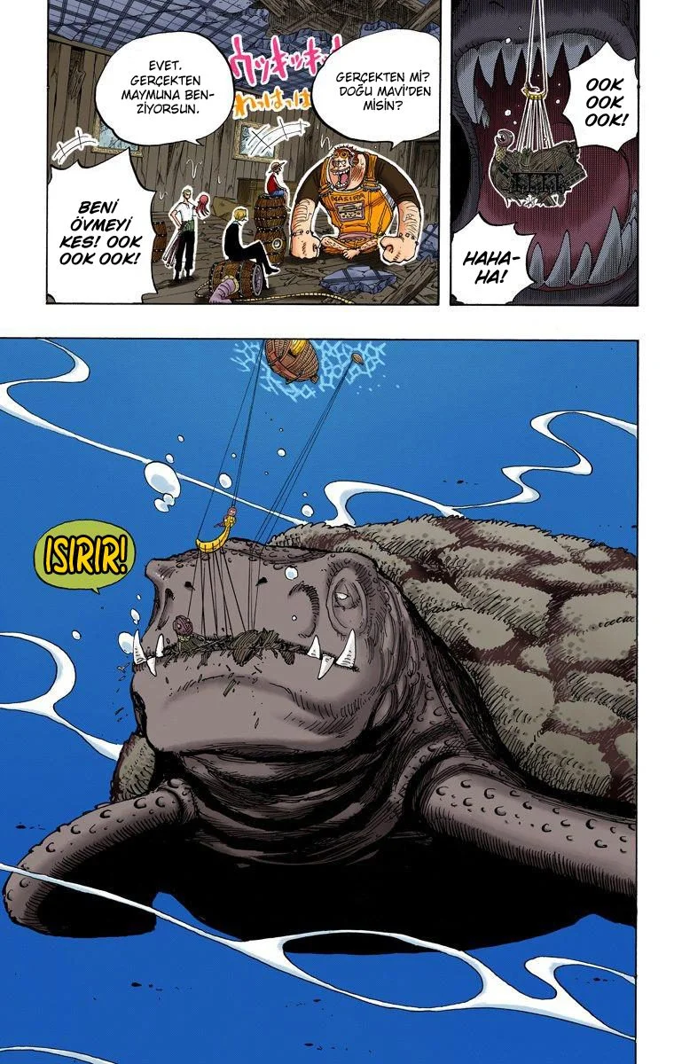 One Piece - Bölüm 220 - Sayfa 19