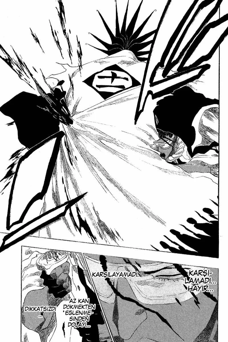 Bleach - Bölüm 147 - Sayfa 17