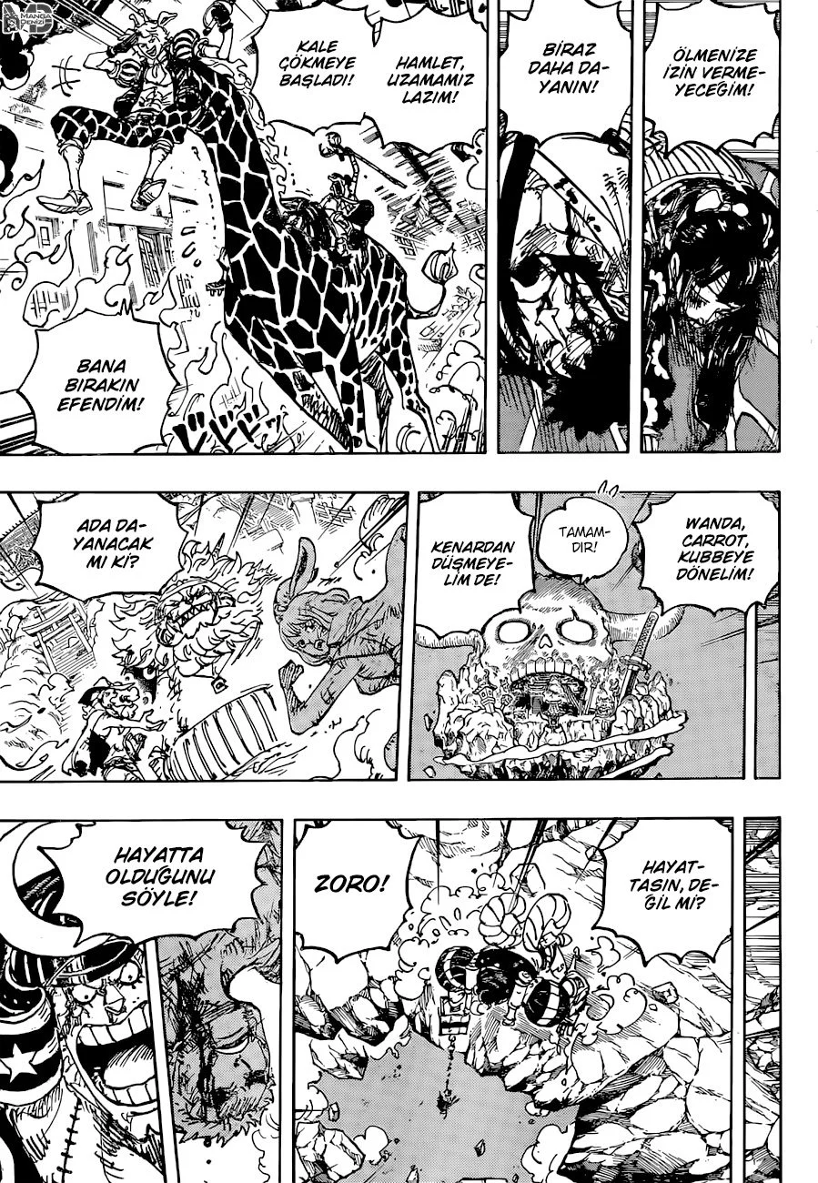 One Piece - Bölüm 1041 - Sayfa 11