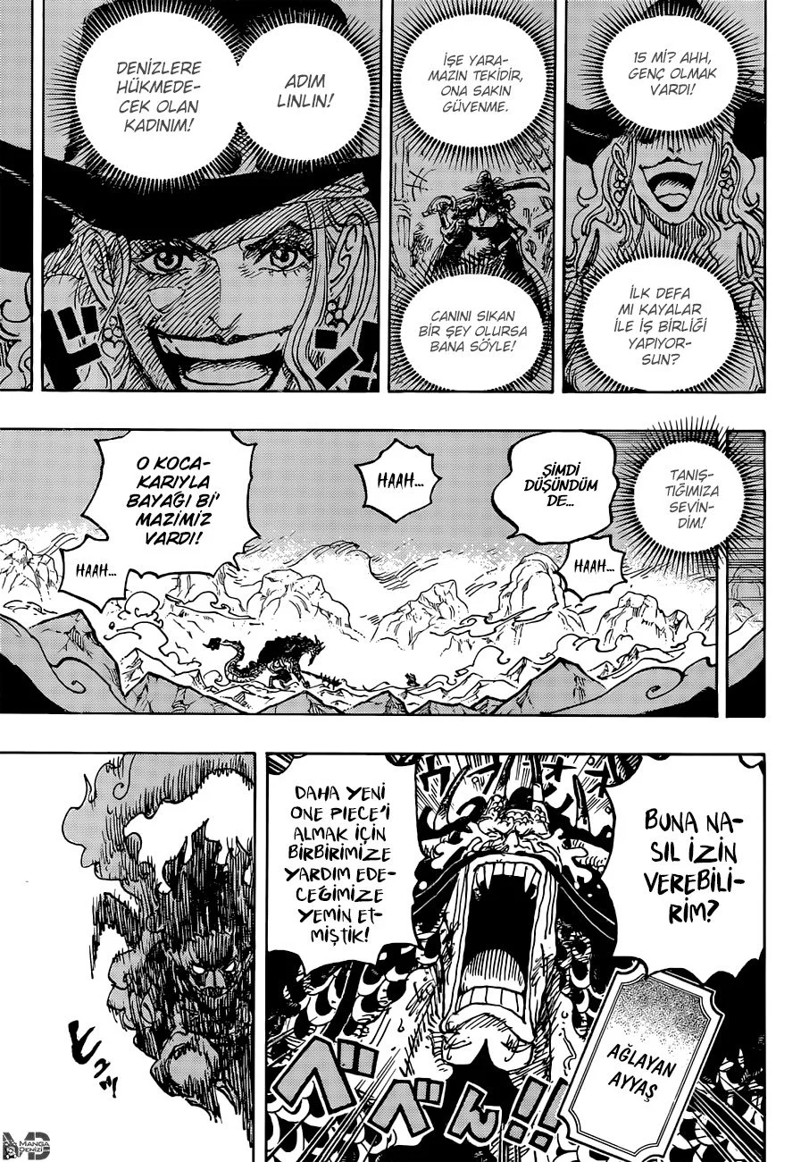One Piece - Bölüm 1041 - Sayfa 15