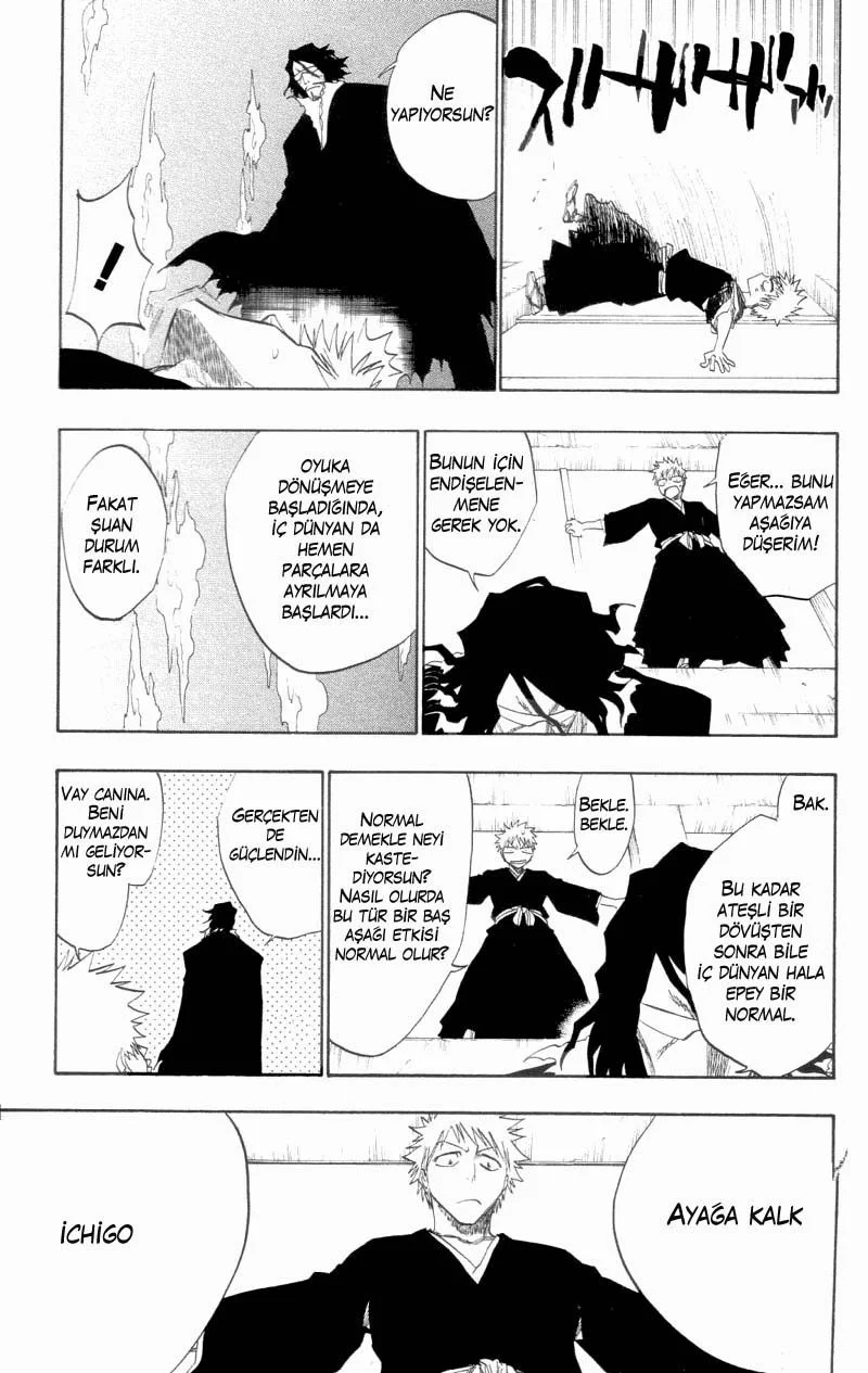 Bleach - Bölüm 110 - Sayfa 13