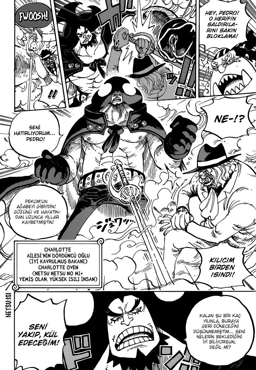 One Piece - Bölüm 864 - Sayfa 10