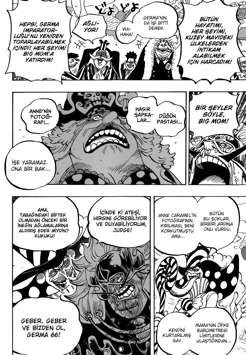 One Piece - Bölüm 864 - Sayfa 13