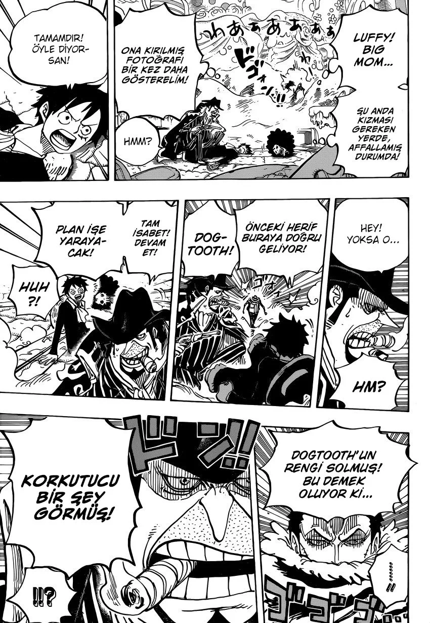 One Piece - Bölüm 864 - Sayfa 14