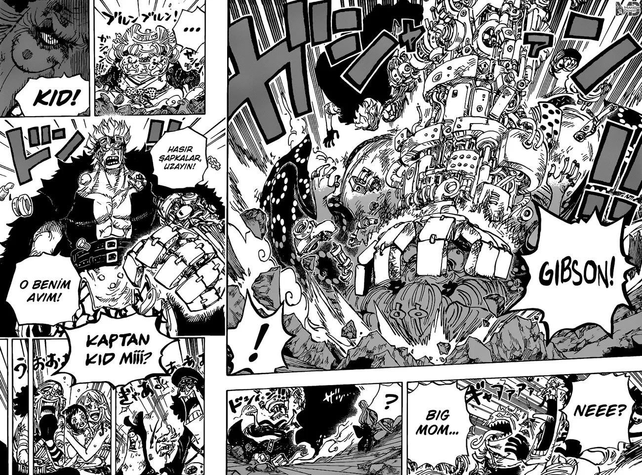 One Piece - Bölüm 1013 - Sayfa 13