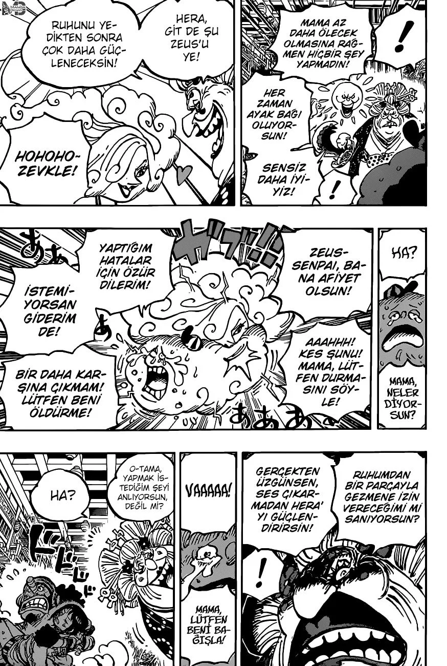 One Piece - Bölüm 1013 - Sayfa 8