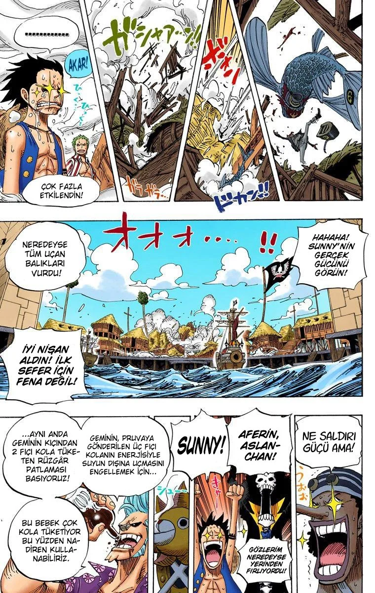 One Piece - Bölüm 495 - Sayfa 13