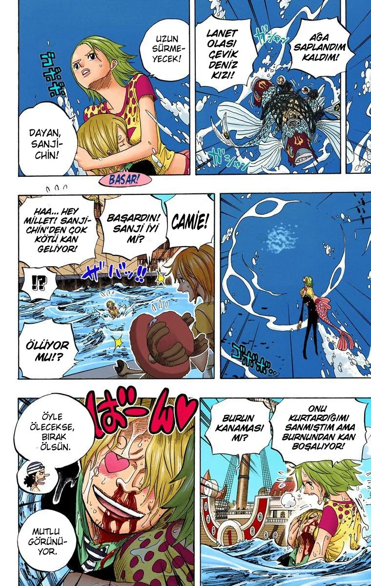 One Piece - Bölüm 495 - Sayfa 14