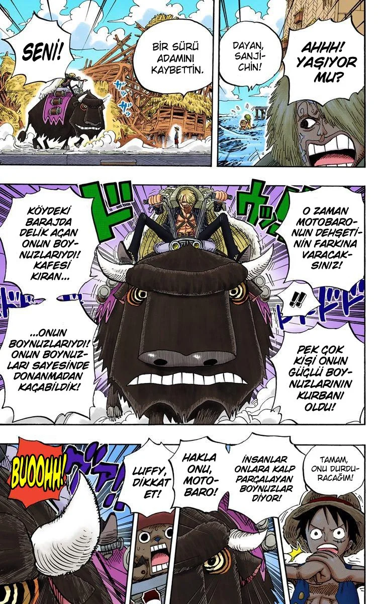 One Piece - Bölüm 495 - Sayfa 15