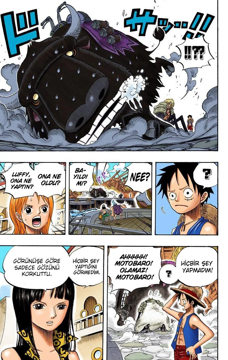 One Piece - Bölüm 495 - Sayfa 17