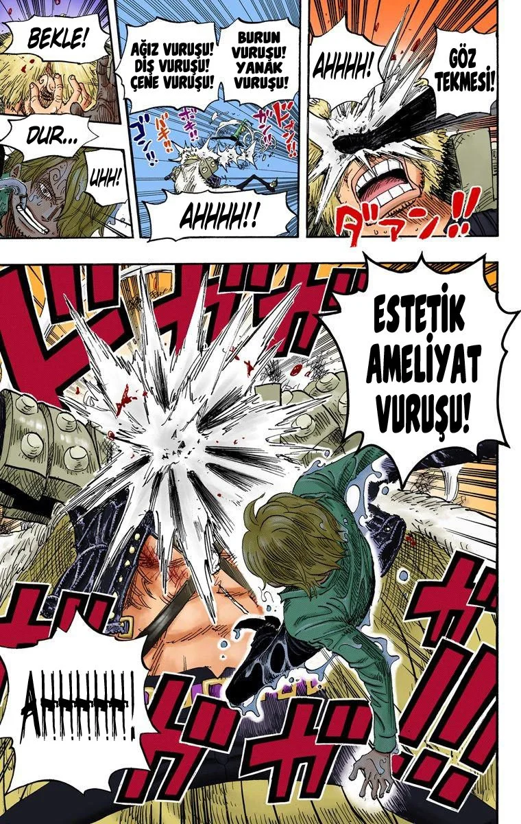 One Piece - Bölüm 495 - Sayfa 19