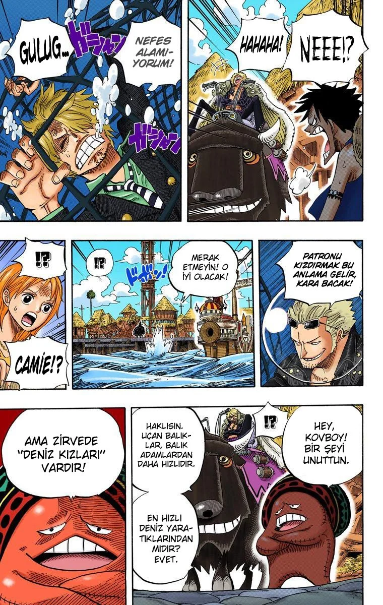 One Piece - Bölüm 495 - Sayfa 7