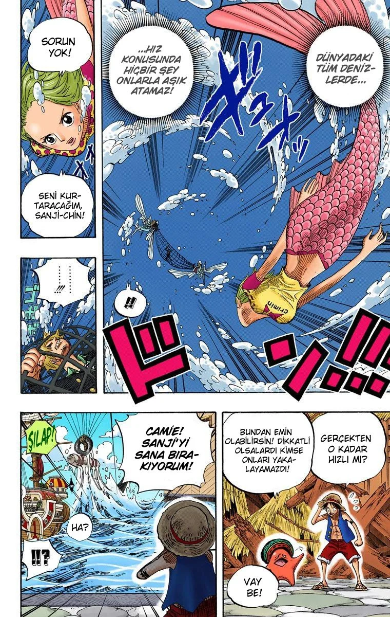 One Piece - Bölüm 495 - Sayfa 8