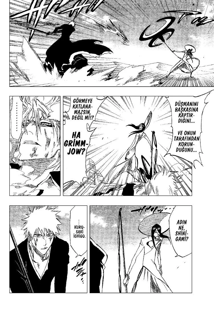 Bleach - Bölüm 287 - Sayfa 6