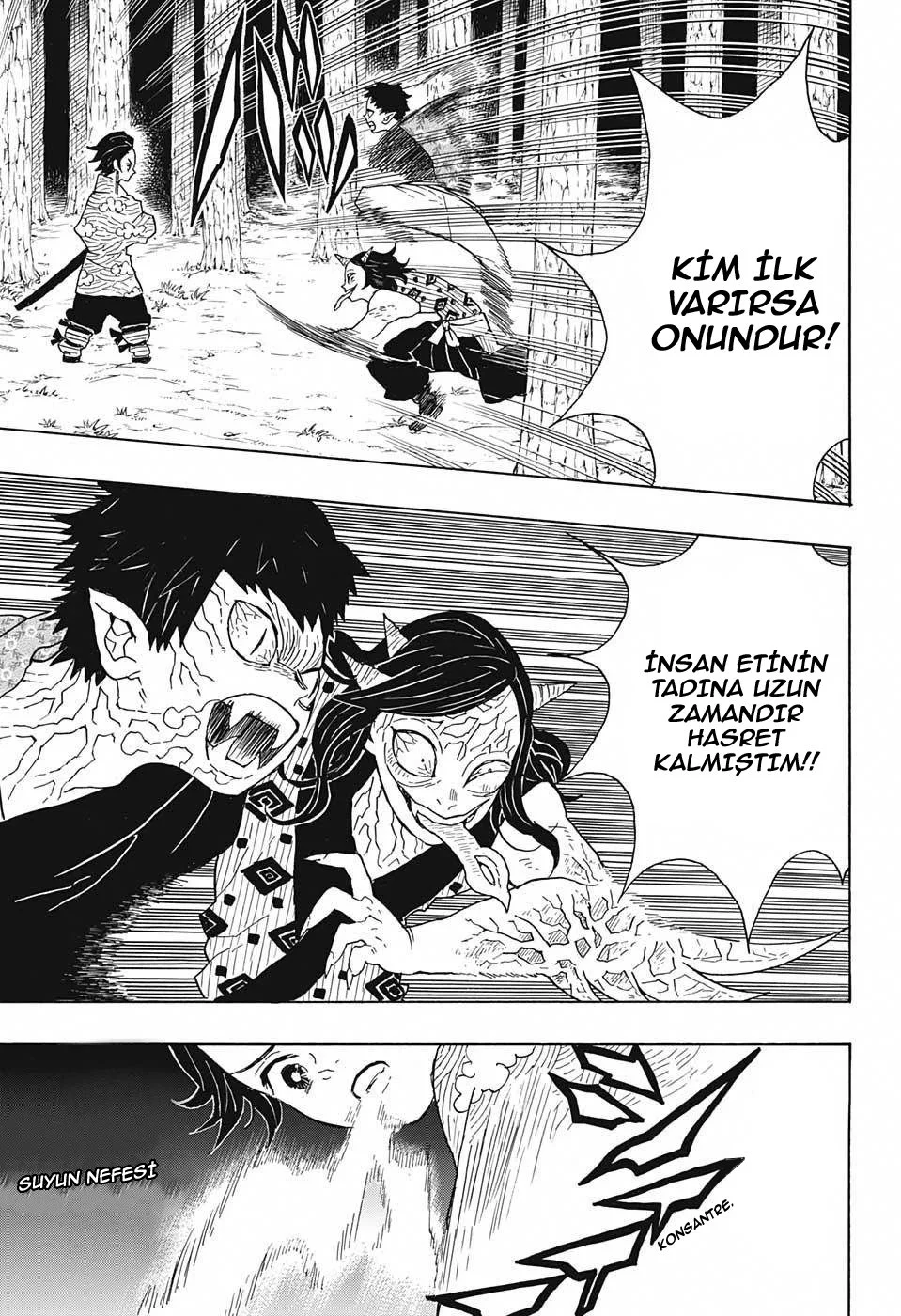 Demon Slayer: Kimetsu no Yaiba - Bölüm 6 - Sayfa 12
