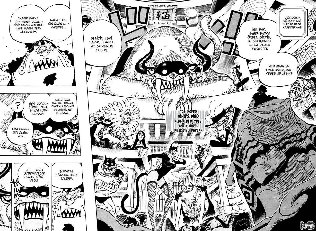 One Piece - Bölüm 998 - Sayfa 10