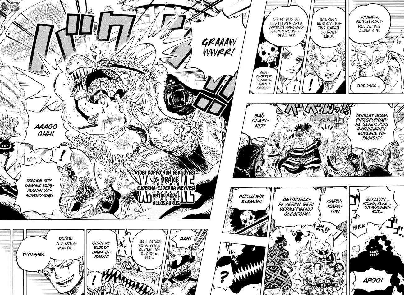 One Piece - Bölüm 998 - Sayfa 5