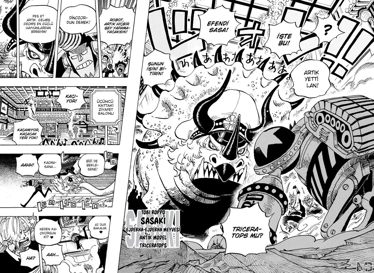 One Piece - Bölüm 998 - Sayfa 8