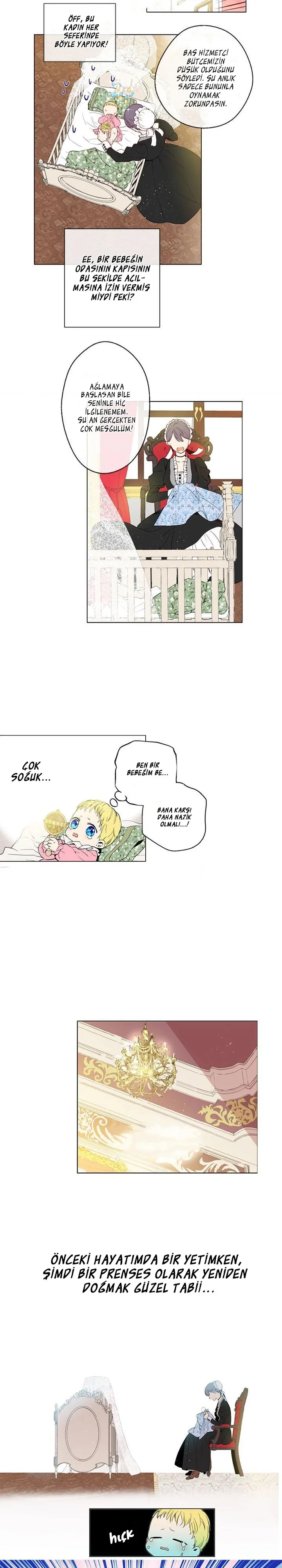 Who Made Me a Princess - Bölüm 1 - Sayfa 10