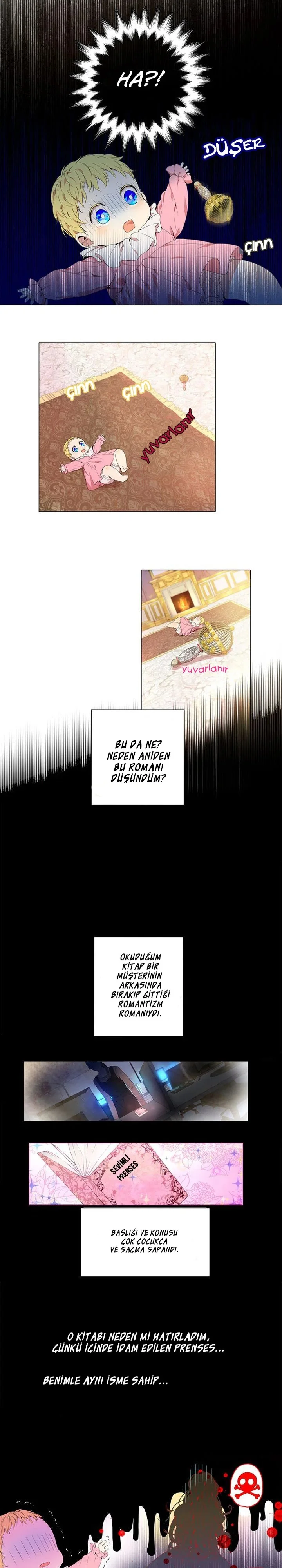 Who Made Me a Princess - Bölüm 1 - Sayfa 6