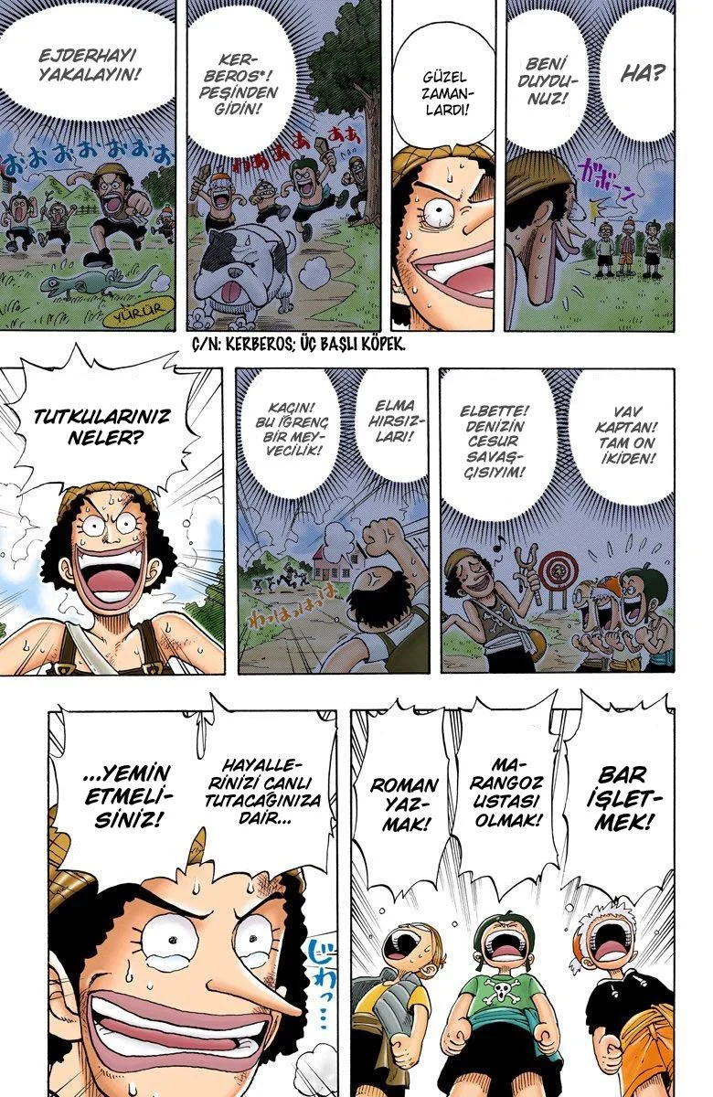 One Piece - Bölüm 40 - Sayfa 17