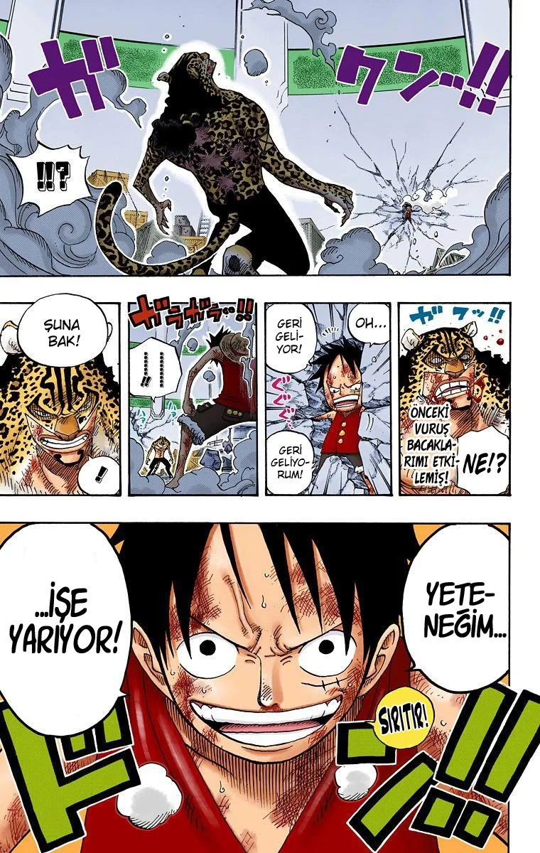 One Piece - Bölüm 423 - Sayfa 15
