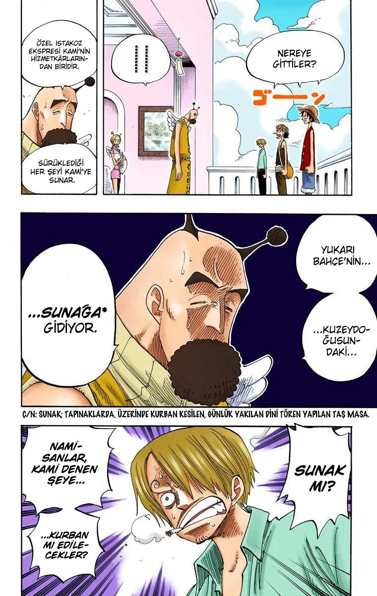 One Piece - Bölüm 243 - Sayfa 14