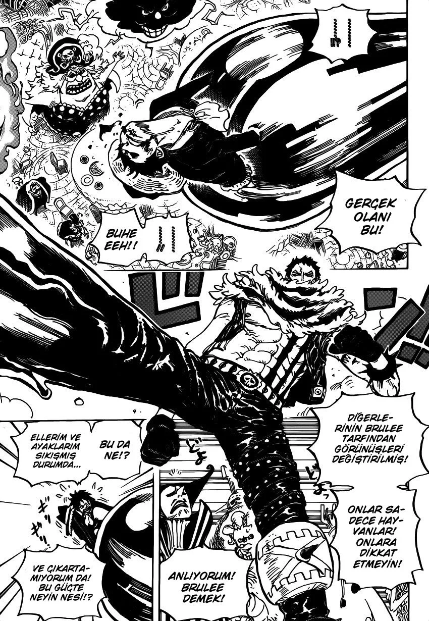 One Piece - Bölüm 863 - Sayfa 11