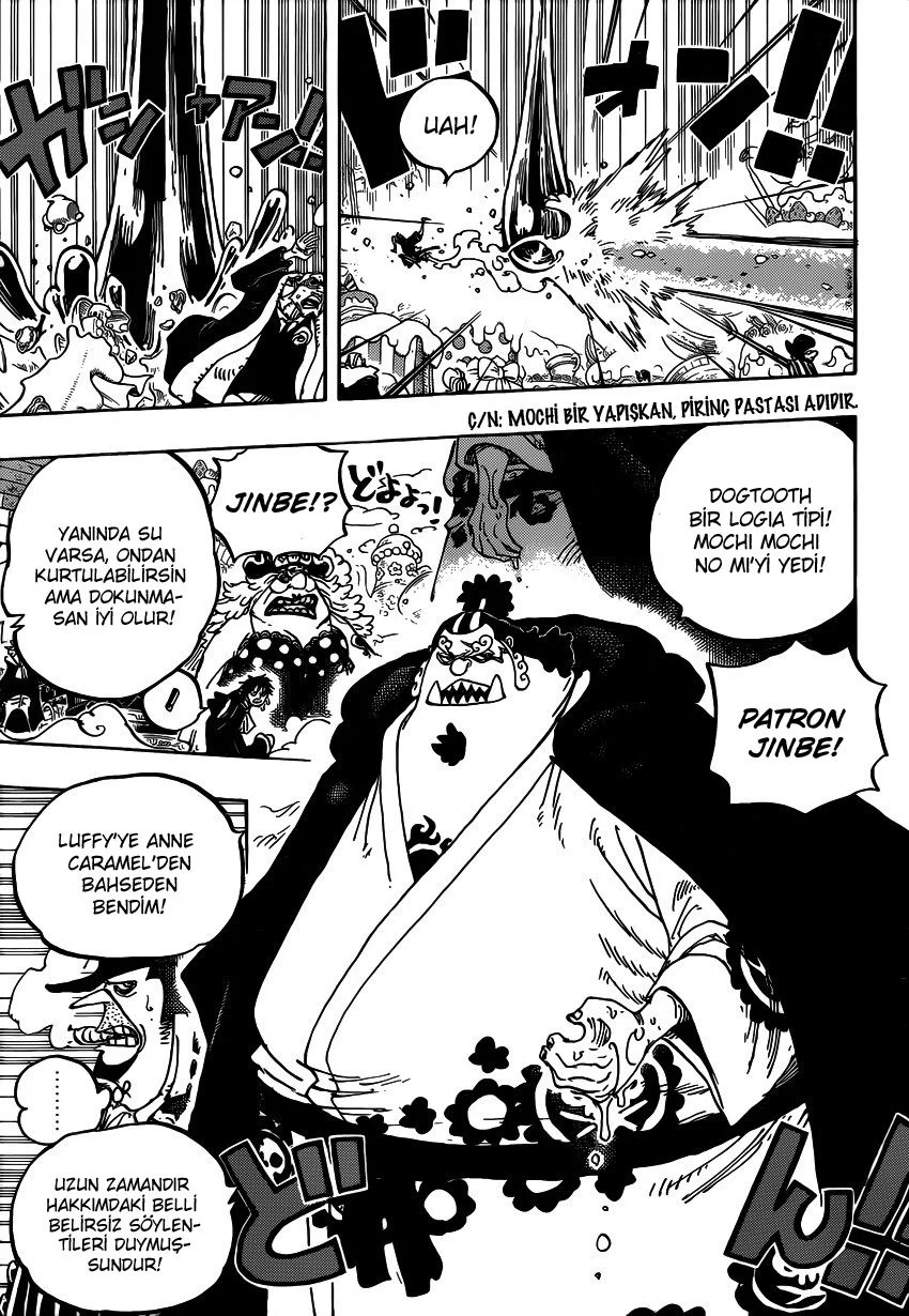 One Piece - Bölüm 863 - Sayfa 13