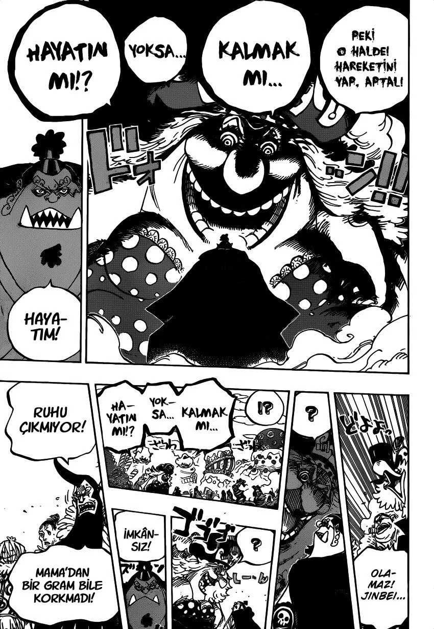 One Piece - Bölüm 863 - Sayfa 15