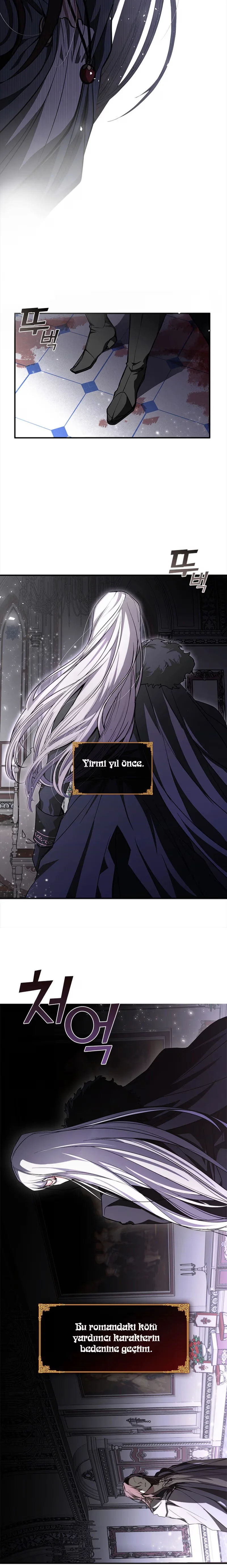 Failed to Abandon the Villain - Bölüm 1 - Sayfa 5