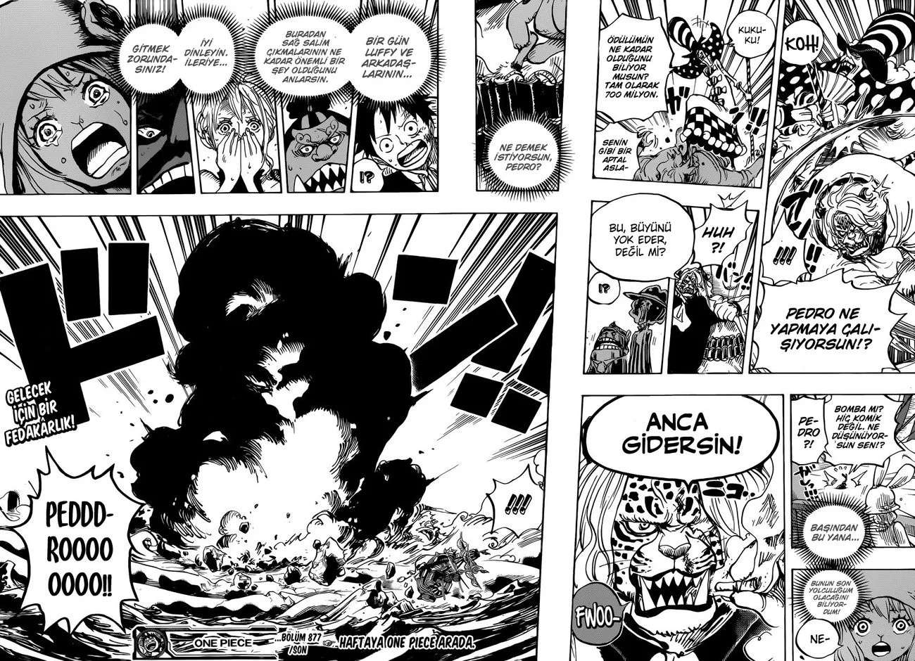 One Piece - Bölüm 877 - Sayfa 15