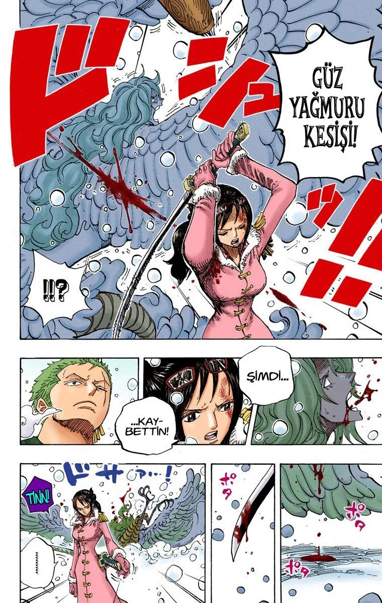 One Piece - Bölüm 687 - Sayfa 17