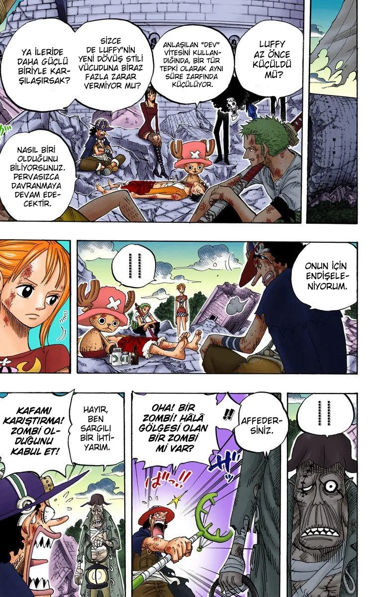 One Piece - Bölüm 483 - Sayfa 10