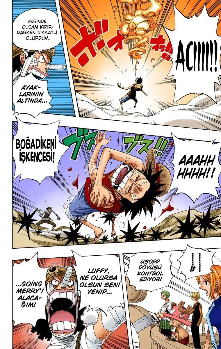 One Piece - Bölüm 332 - Sayfa 13