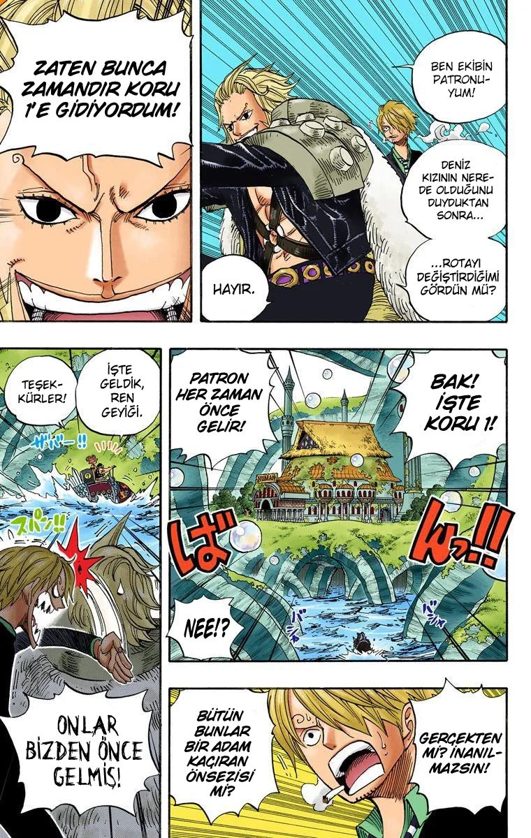 One Piece - Bölüm 501 - Sayfa 10
