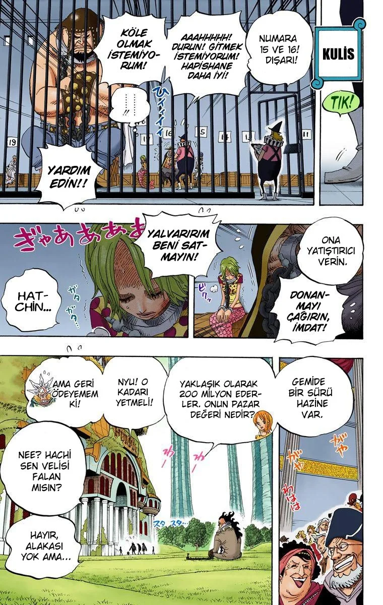 One Piece - Bölüm 501 - Sayfa 14