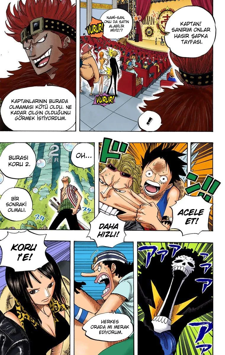 One Piece - Bölüm 501 - Sayfa 16