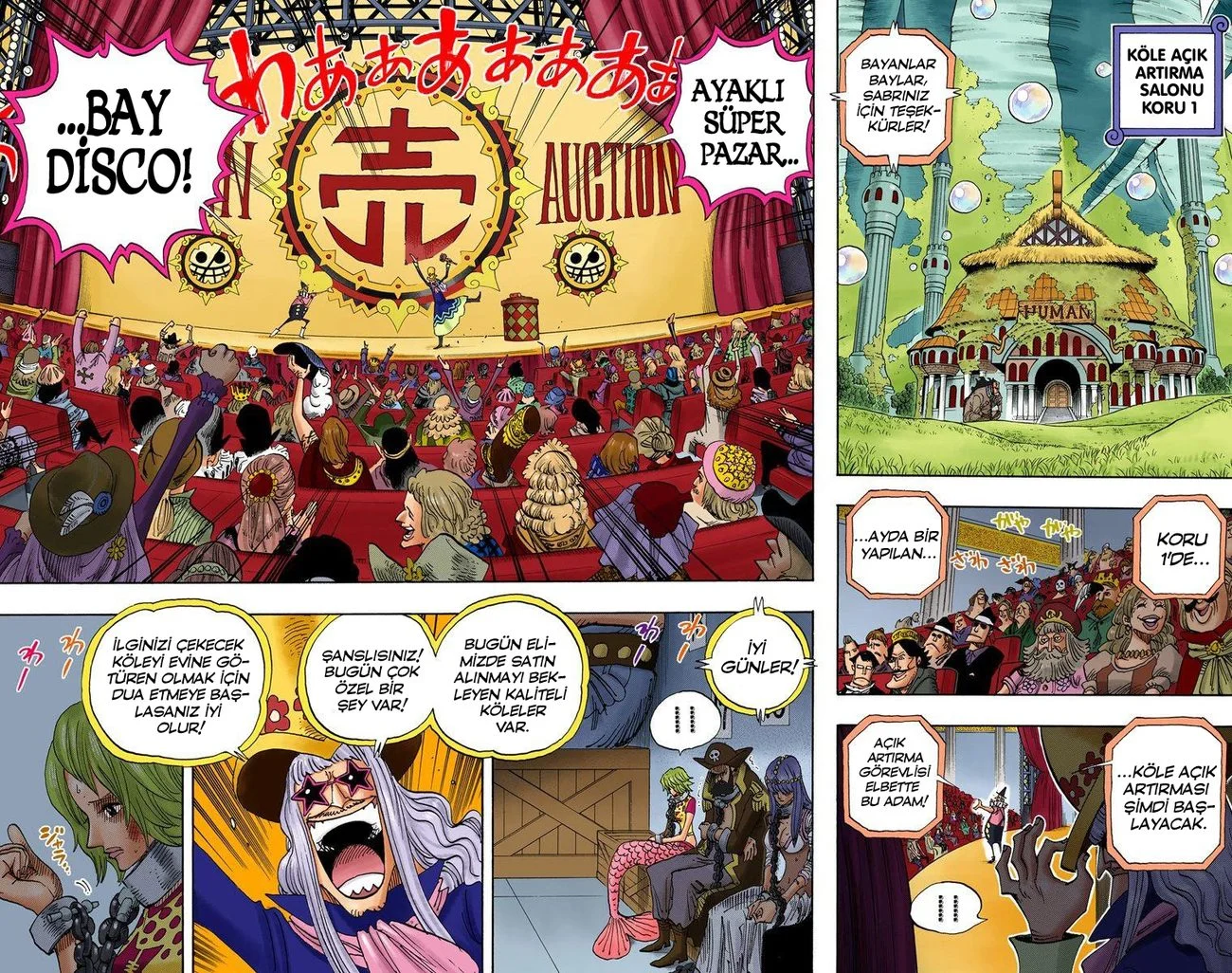 One Piece - Bölüm 501 - Sayfa 4