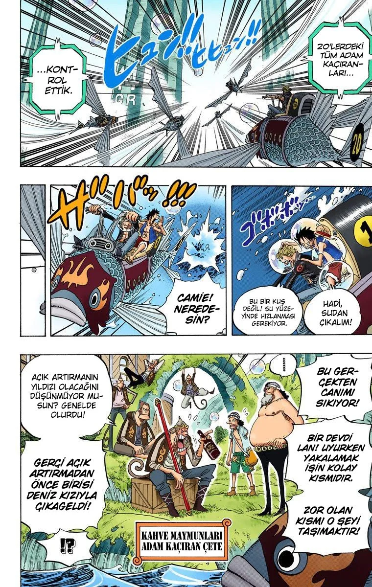 One Piece - Bölüm 501 - Sayfa 7