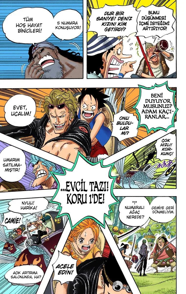 One Piece - Bölüm 501 - Sayfa 8