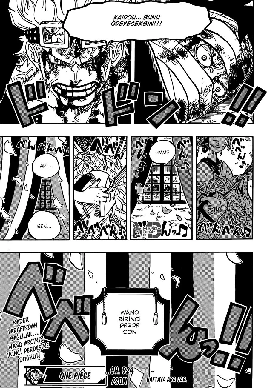 One Piece - Bölüm 924 - Sayfa 15