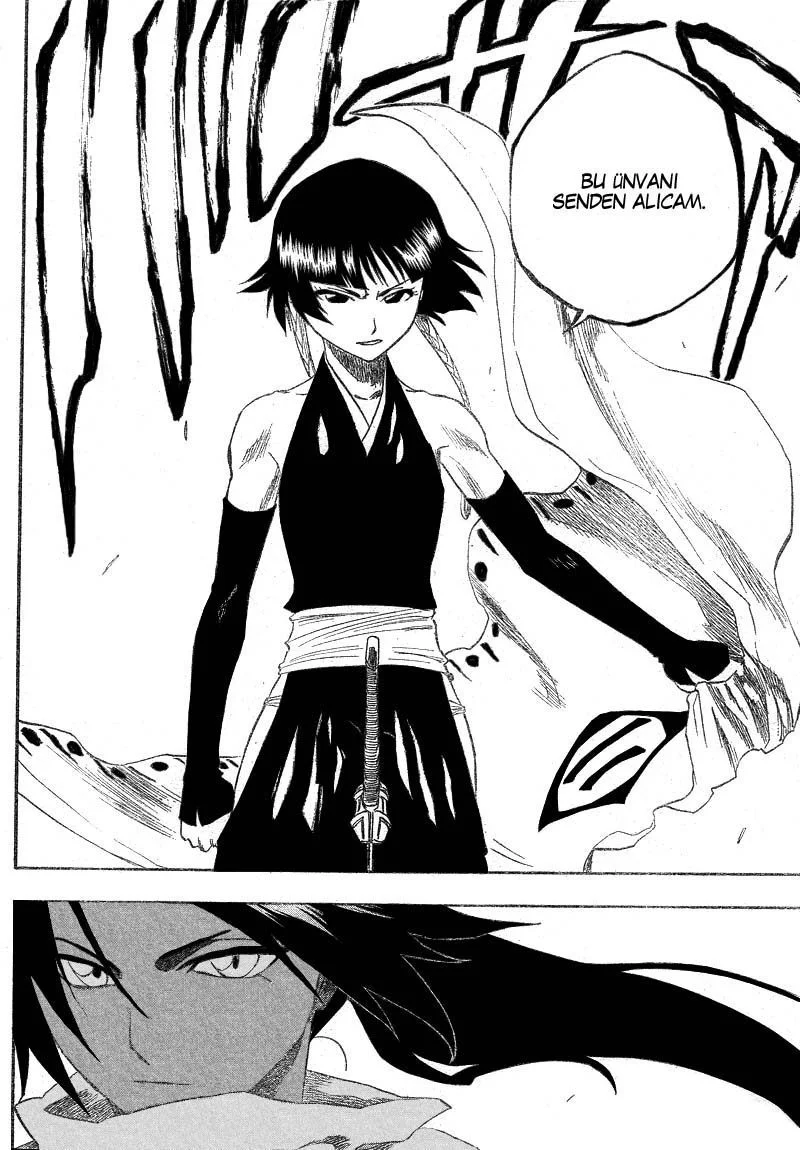 Bleach - Bölüm 154 - Sayfa 15
