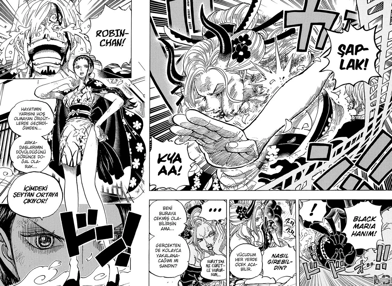 One Piece - Bölüm 1005 - Sayfa 10