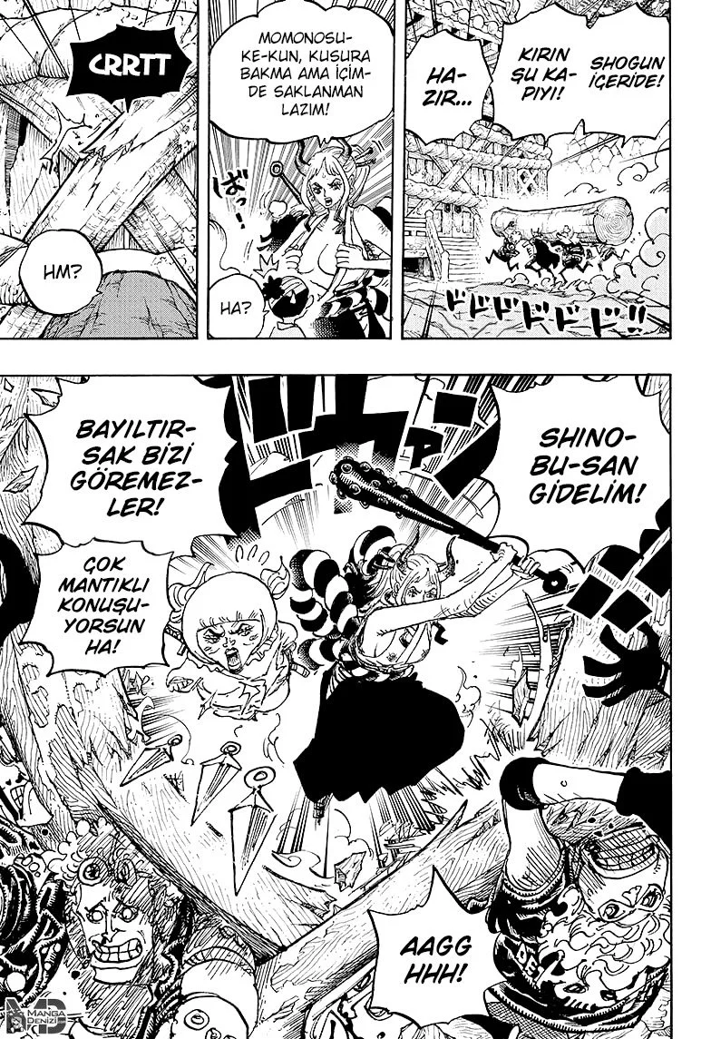 One Piece - Bölüm 1005 - Sayfa 14