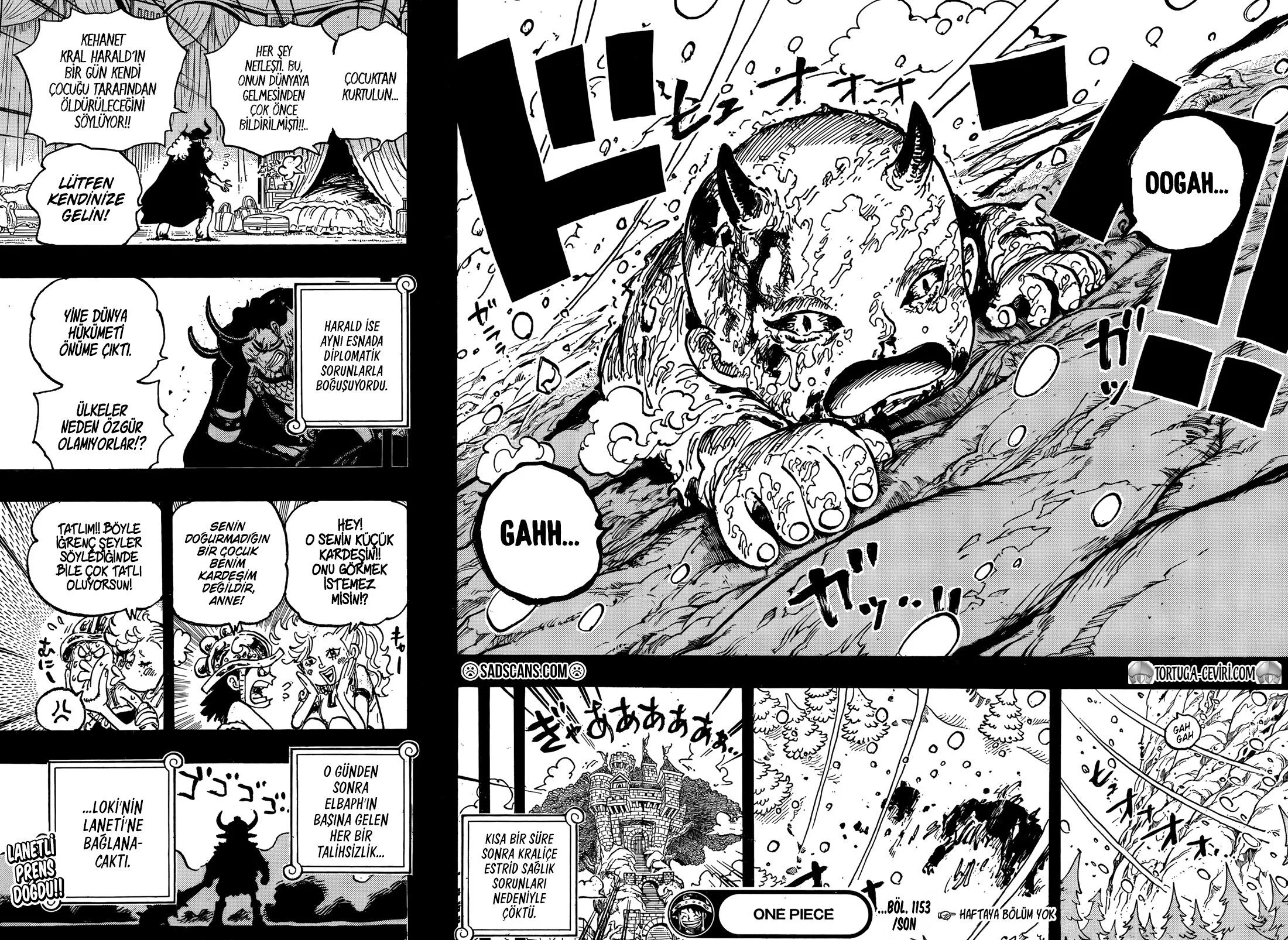 One Piece - Bölüm 1153 - Sayfa 17