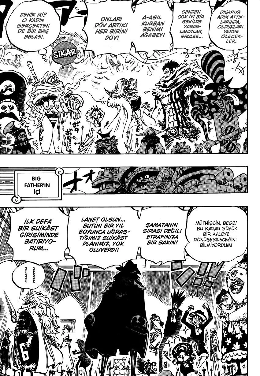 One Piece - Bölüm 869 - Sayfa 15