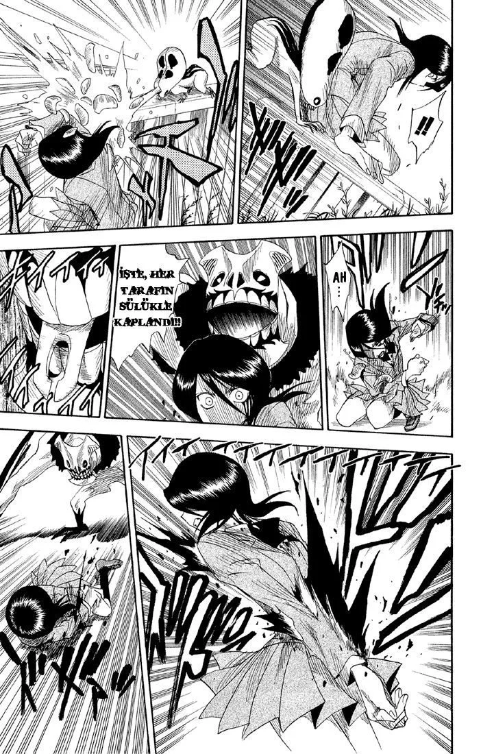 Bleach - Bölüm 10 - Sayfa 15