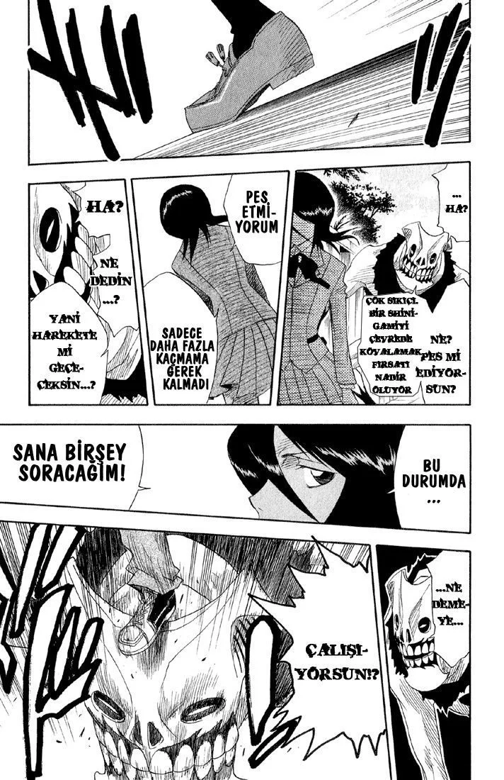 Bleach - Bölüm 10 - Sayfa 17